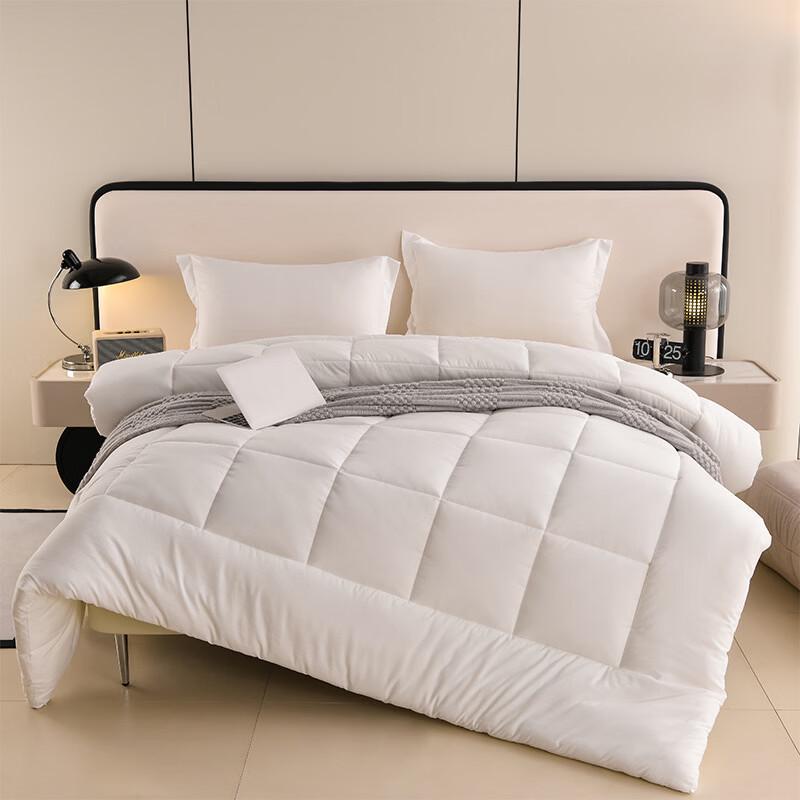 Oeny Down Alternative Winter Comforter