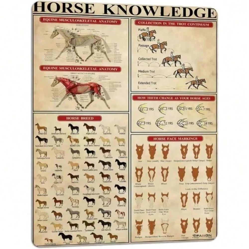 Vintage Horse Infographic Metal Sign Home Kitchen Decor Wall Art