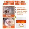 100Pcs Pet Remove Dirt From Eyes And Ears Wipes Dog Cat Earwax Clean Ears Odor Remover Pets Wet Tissue Cleaning Tools Supplies