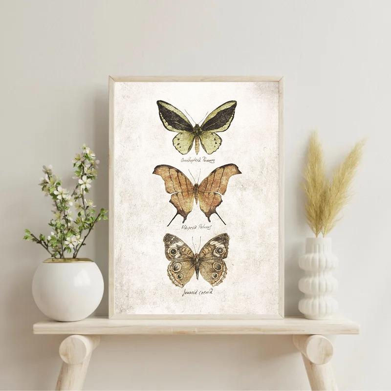 Vintage Butterflies and Moths Insect Studies Specimen Posters Prints Canvas Printing Wall Art Picture for Living Room Home Decor