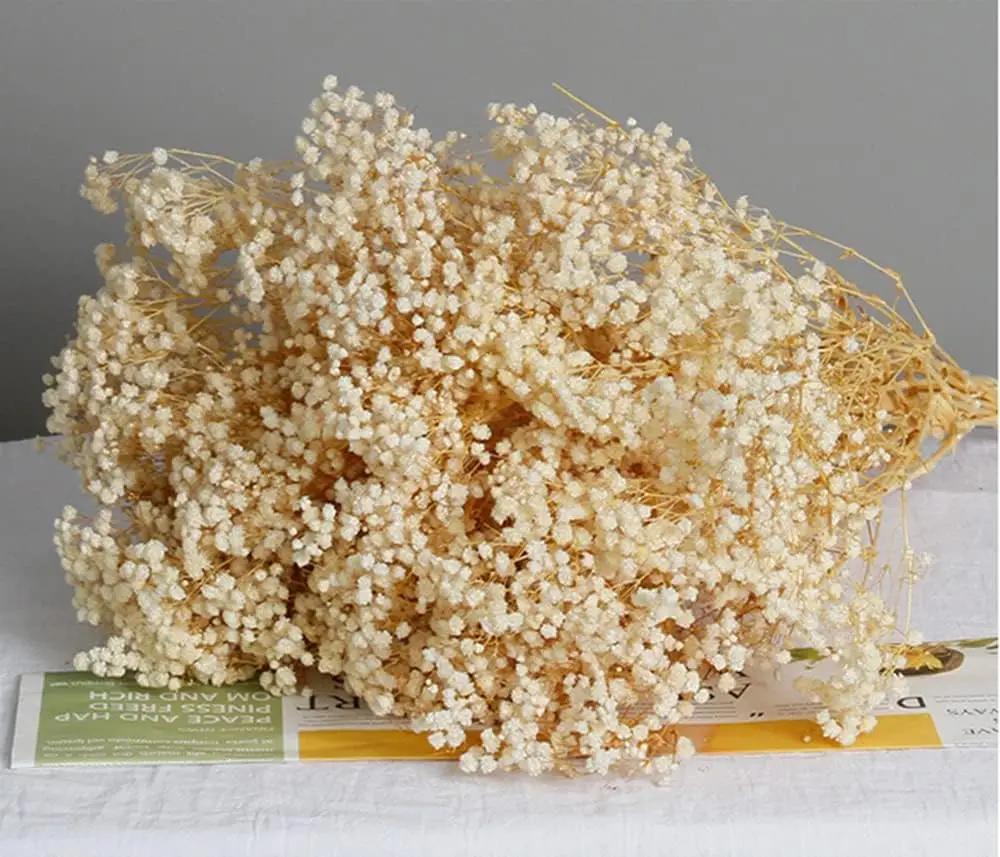 90g Dried Baby Breath Flower Bouquet Natural Dry Flowers Gypsophila Valentines Day Wedding Decoration Home Table Christmas Decor