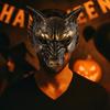 Wolf Halloween Mask Half Face Cosplay Mask Punk Masquerade Mask  Carnival