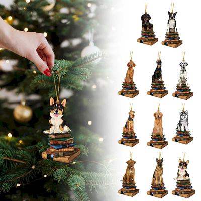 Nuevo Colgante Decorativo Acrílico 2D Plano Colgante Decorativo para Regalo
