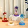 Gold Foil Flower Night Light Rose Ornament Creative Immortal Flower Glass Cover Lamp Mother's Day Gift Setting