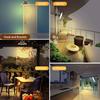 Aokyoung LED Solar Pendant Separate Three Color Light Automatic 5m Extension IP65 Night Suitable for Indoor and Outdoor Use In Parking and Easy