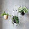 Hanging with for Balcony or Balcony Use Planter, Iron, Hooks, Wall-Mounted (Large, Round)