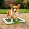 Anti-Splash Urinary Grass Mat Non-slip Simulated Lawn Dog Toilet Absorbent Dog Potty Toilet  Home