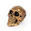Medical Model Resin Halloween Prop Home Decoration Antique Bronze Animal Skull