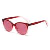2026 High-End Unisex UV Protection Fashion Sunglasses