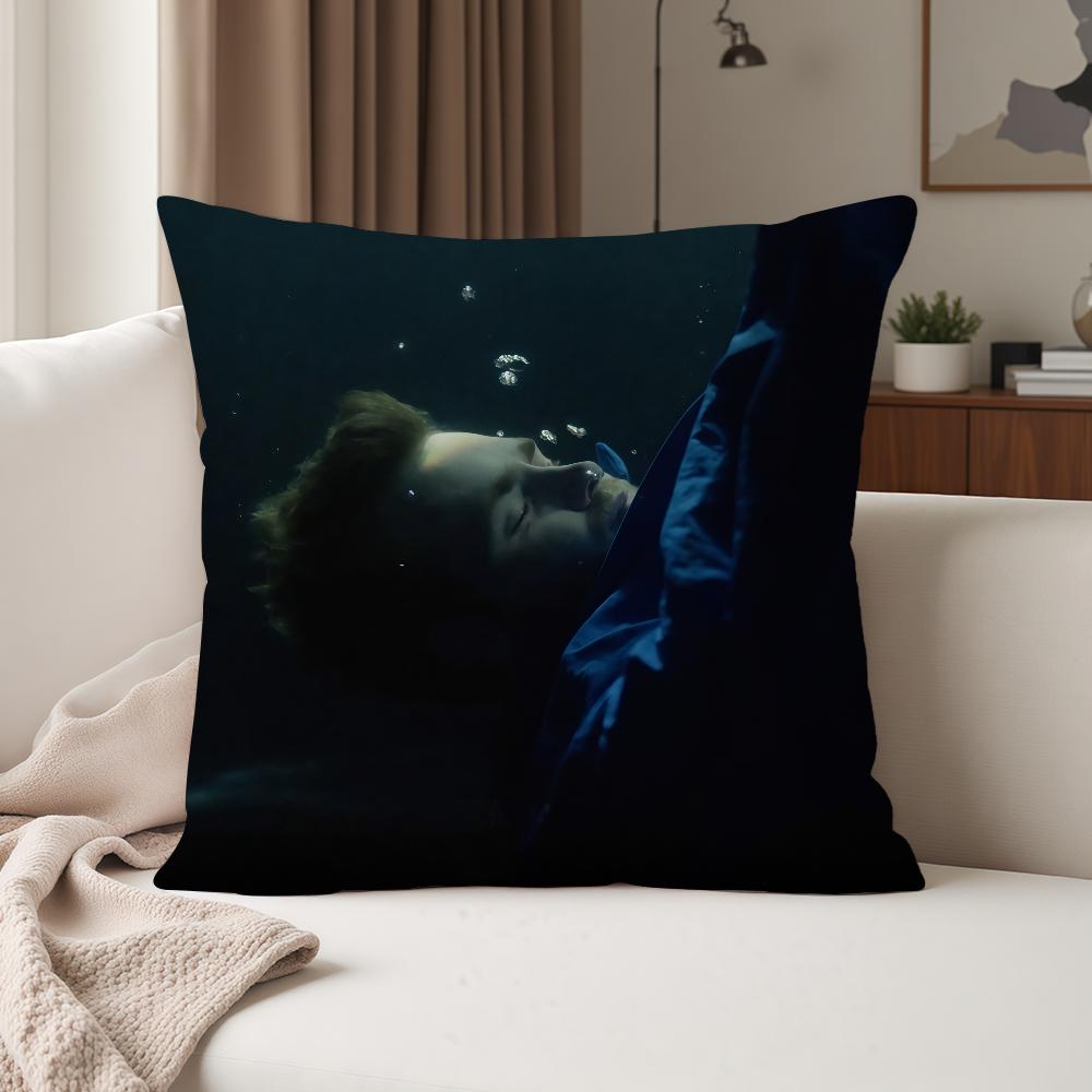 American Singer Aalex Wwarren Pillow Case Suitable For Bedrooms Living Rooms Cars Home Decoration