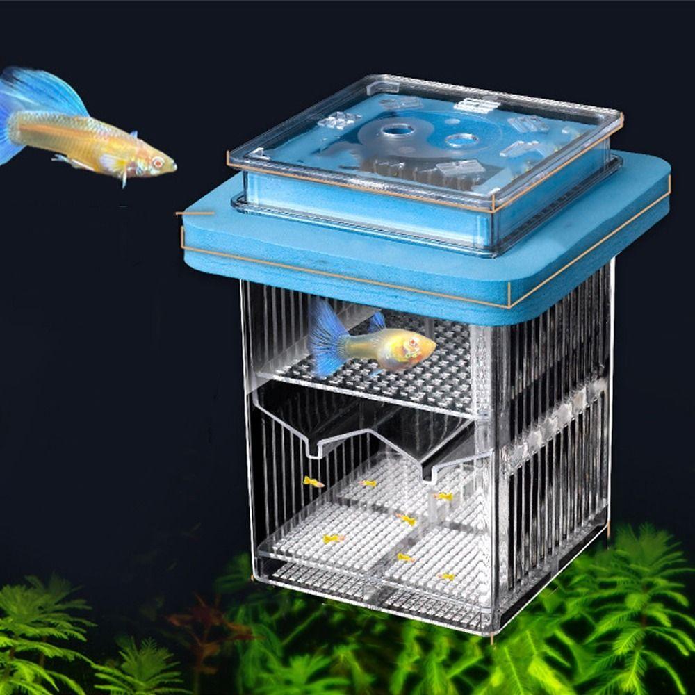 Detachable Guppy Breeder Box Transparent Fish Tank Divider Floating Hatching Box  Fish Breeding