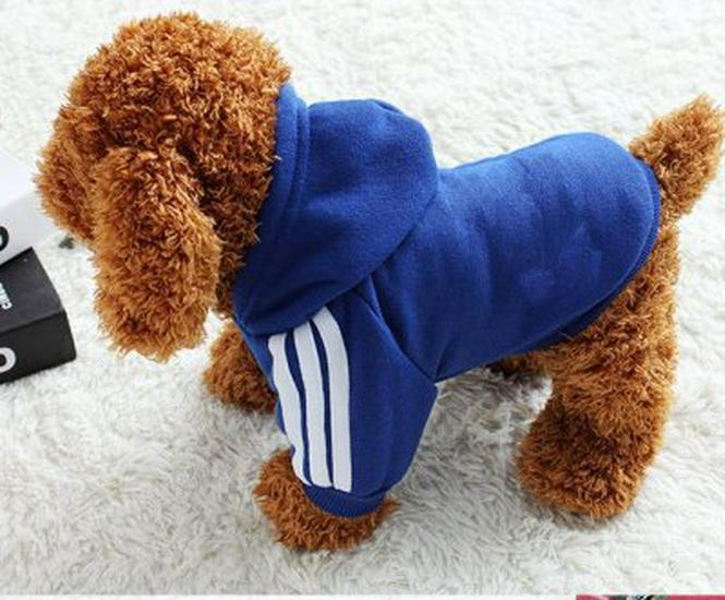 "Pet Autumn & Winter Clothes: Golden Retriever, Samoyed, Husky, Border Collie & Cat Apparel"