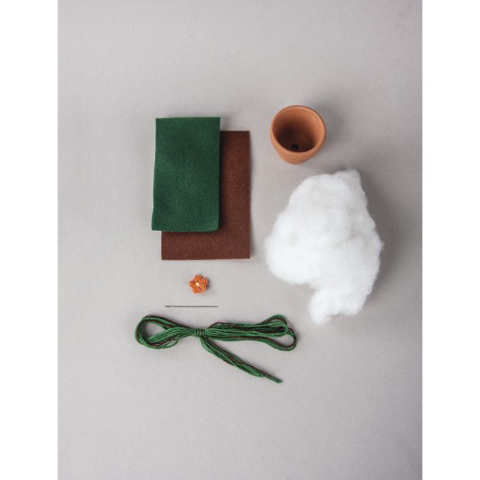 Kit: Cactus , 5cm 10cm, verre 1pce.