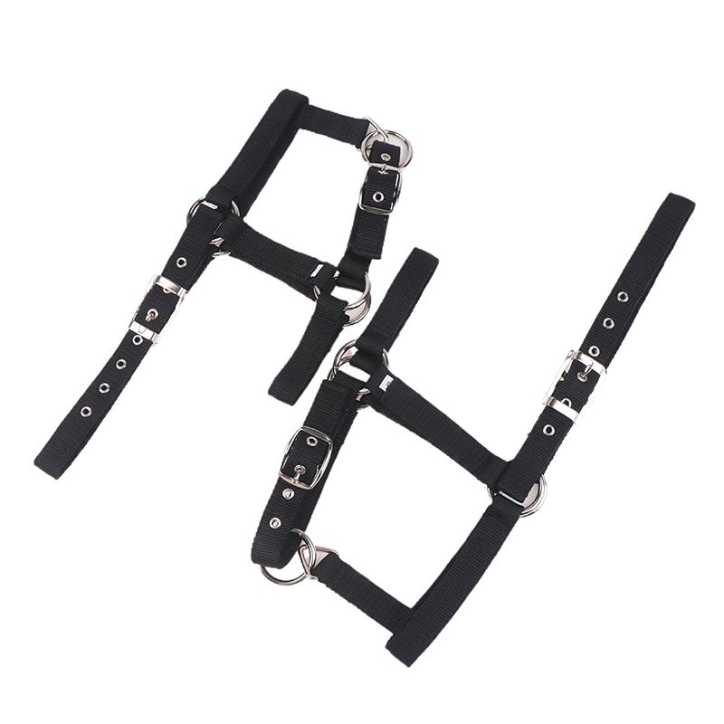 Ayarlanabilir Naylon Dokuma Binicilik Batı At Yuları At Binme Giyim Siyah Xs S M L Xl Ergonomik Rahat Yularlar