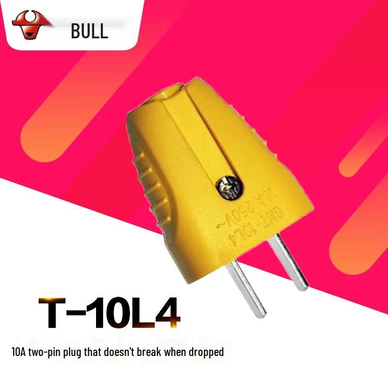 BULL 10A 2-Pin Power Plug CN plug (adapter included)