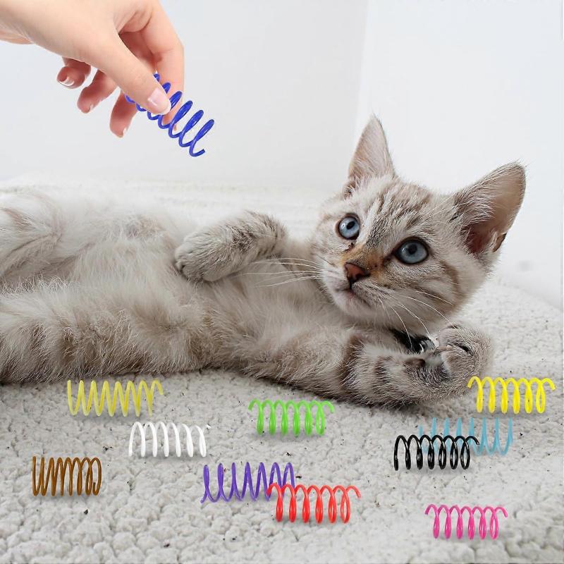 Cat Spring Toy Pack Of 12 Colorful Plastic Spiral Interactive Toy For Indoor Cats To Swat