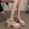 Mary Jane single shoes platform high heels women's autumn 2025 new French with skirt thick heel gentle small leather shoes