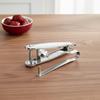 1 pièce Dénoyauteur de fruits en acier inoxydable 304, Retire-noyaux pour cerises, olives, prunes pour la fabrication de jus de cerise