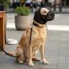 Ayarlanabilir Büzgülü Köpek Başlığı Köpek Göz Korumalı Başlık Veteriner Ziyaretleri İçin Evcil Hayvan Malzemesi