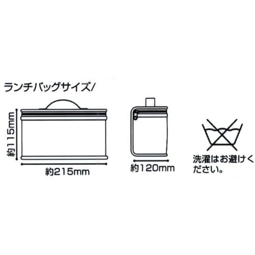 Skater 2-Tier Bento Box, Small Capacity, 670ml, with Cooler Bag, Made in Japan, Broad Conception KCQD3