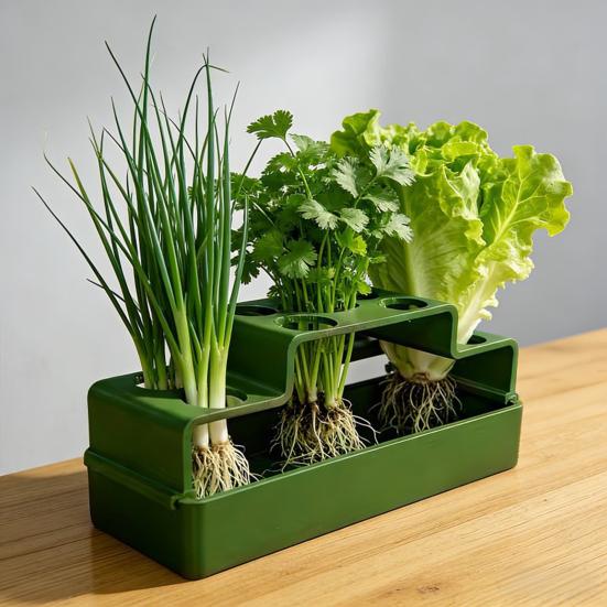Scallion Planter Hydroponic Soil-Free Regeneration Planter Multi-Slot Scallion Regrowth Planter for Kitchen Countertop Window Sill