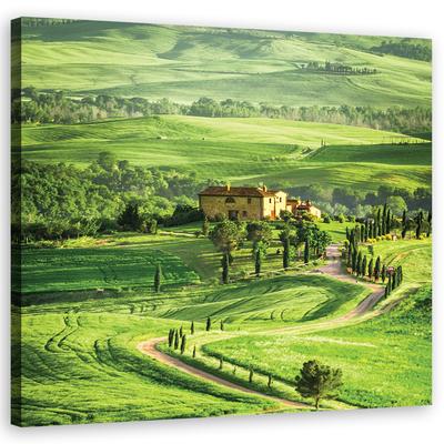 Canvas Print Tuscany Landscape Green