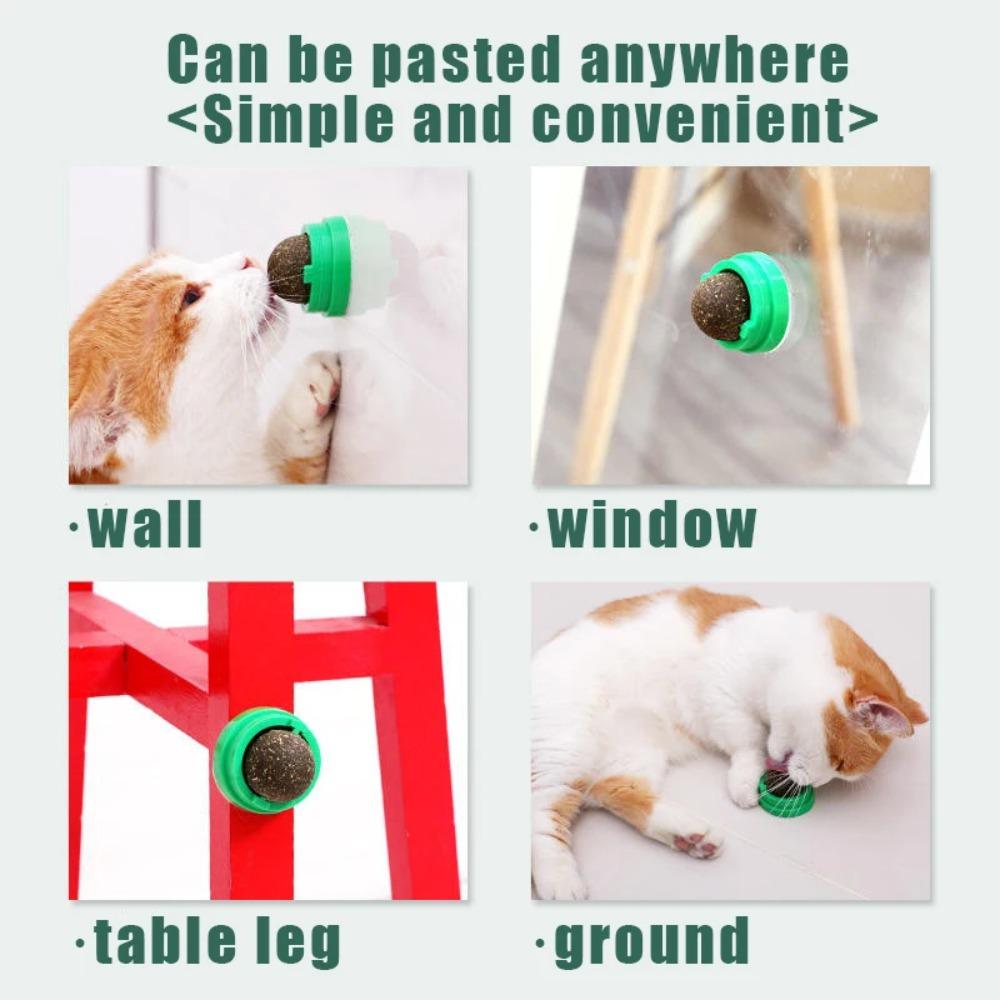 Katzenminze Bälle Lustiger Leckbarer Katzensnack Katzenminze Bälle Kätzchen Spielen Kauen Zähne Putzen Spielzeug Für Kleine Mittlere Katzen Haustierbedarf