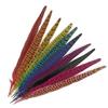 Colorful Pheasant Feathers Table Centerpieces Handicraft Accessories 25-30Cm Natural Plumes Diy Headdress Decoration