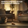 Wireless Remote Control Mouse Interactive Toys, Tease Dog and Cat Interactive Toys, Realistic Cat Teasers, Funny Gifts for Cats