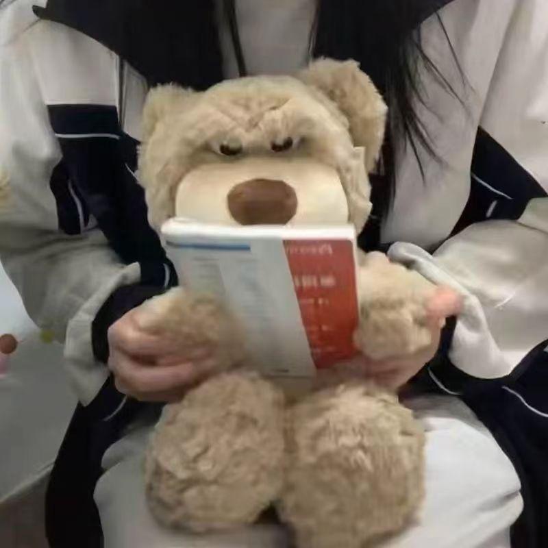 

Cute stare bear plush toy doll eye expression bear doll birthday gift for boys and girls 35cm