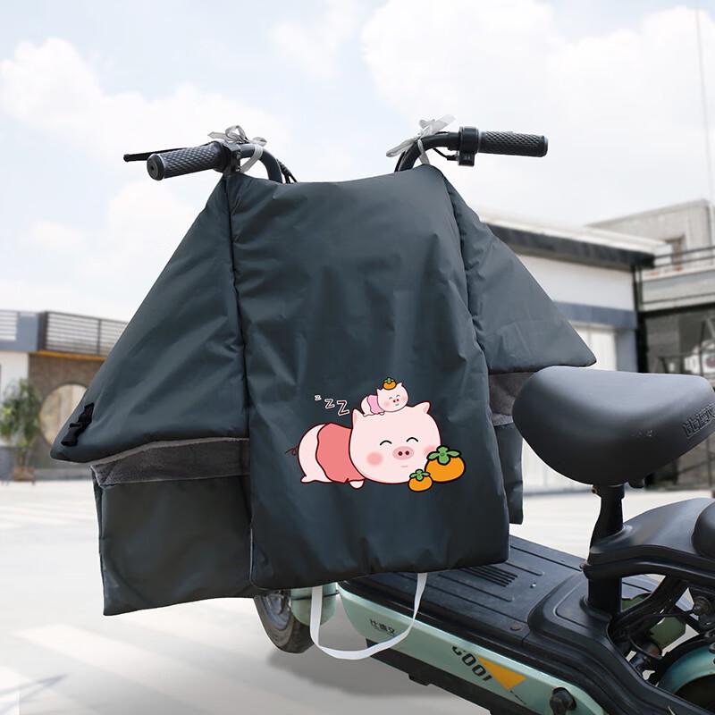 

DUTRIEUX Electric Vehicle Windproof Leg Cover Sleeping Pig