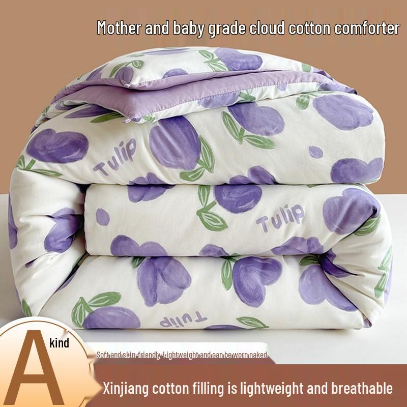 

Jihua Thickened Xinjiang Cotton Spring Autumn Duvet Insert