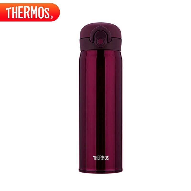 Thermos 316 Stainless Steel Vacuum Insulated Bottle 500ML