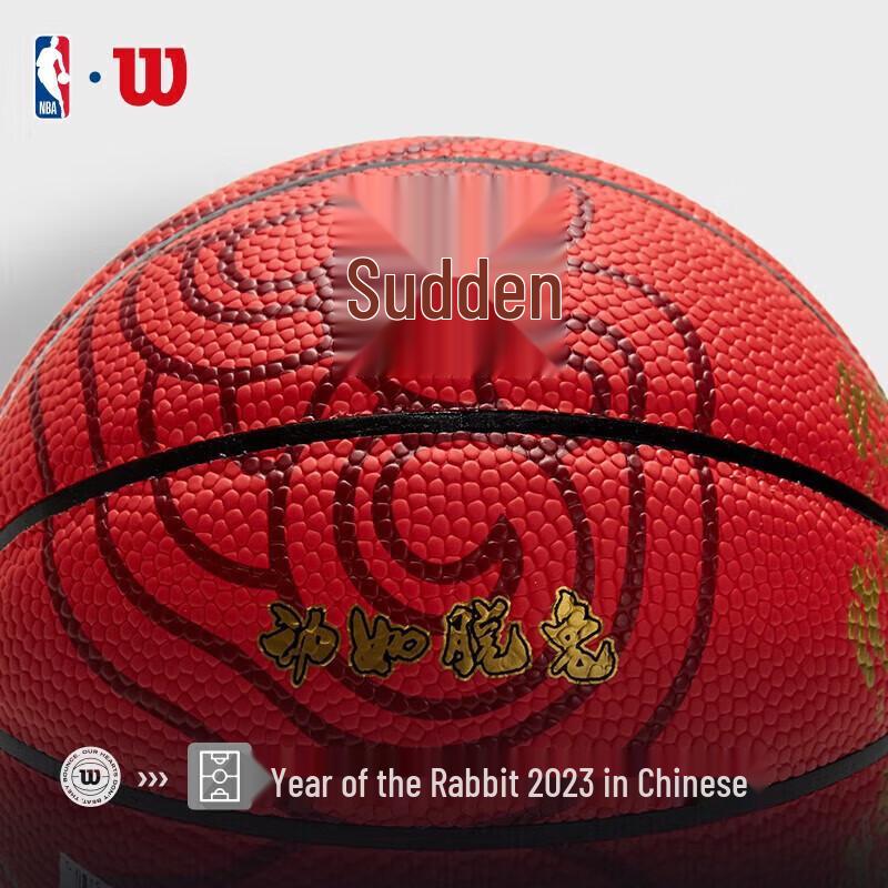 Wilson Year of the Rabbit Mini PU Basketball Set