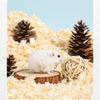 300g Hamster Rat Mouse Wood Chips Bedding for Guinea Pigs Rabbits Chinchillas Birch Bedding Sawdust Cage House Filler Supplies