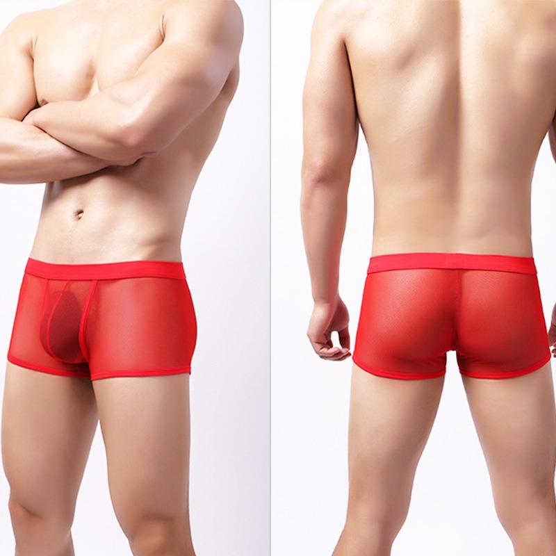 Men Sexy Mesh Boxer Trunks Soft Underwear Transparent Underpants Bulge Pouch Panties Breathable Boxer Shorts Lingerie Knicker