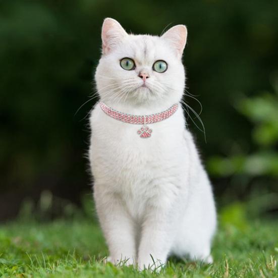 Obojek pro štěně s kostěným přívěskem s lesklým kamínkovým módním náhrdelníkem s koťátkem