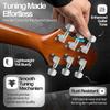 Pack of 6 Guitar Tailpiece Pegs Perfect for Various Use in Different Playing Environment with Enhancing Durability
