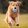 Squeaky Ball Dog Chew Toy TPR Interactive Toys for Dogs Teeth Cleaning Bite Resistance Pet Supplies for Home Outdoors Walking Traveling
