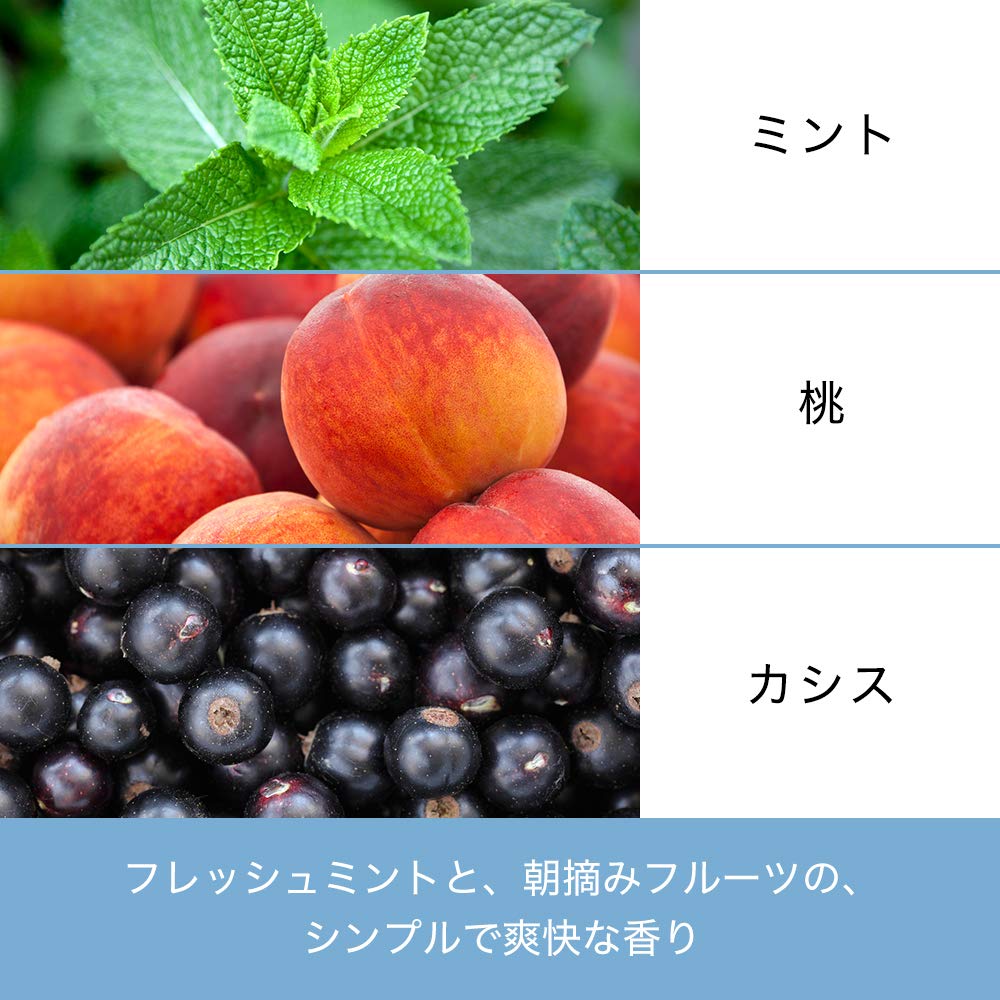 Pantene Micellar Shampoo 600mL Large Capacity Pure Cleanse [1.7 Servings] Refill, &