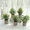 Birthday Gifts Artificial Green Plants Indoor Decorative Plants
