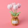 2025 Tulips Crochet Flowers with Kintted Potted Kinttted Sunflower Pot Desk Accessories Handwoven Plant Pot Home Decor Gift