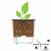 Plant pot EDA