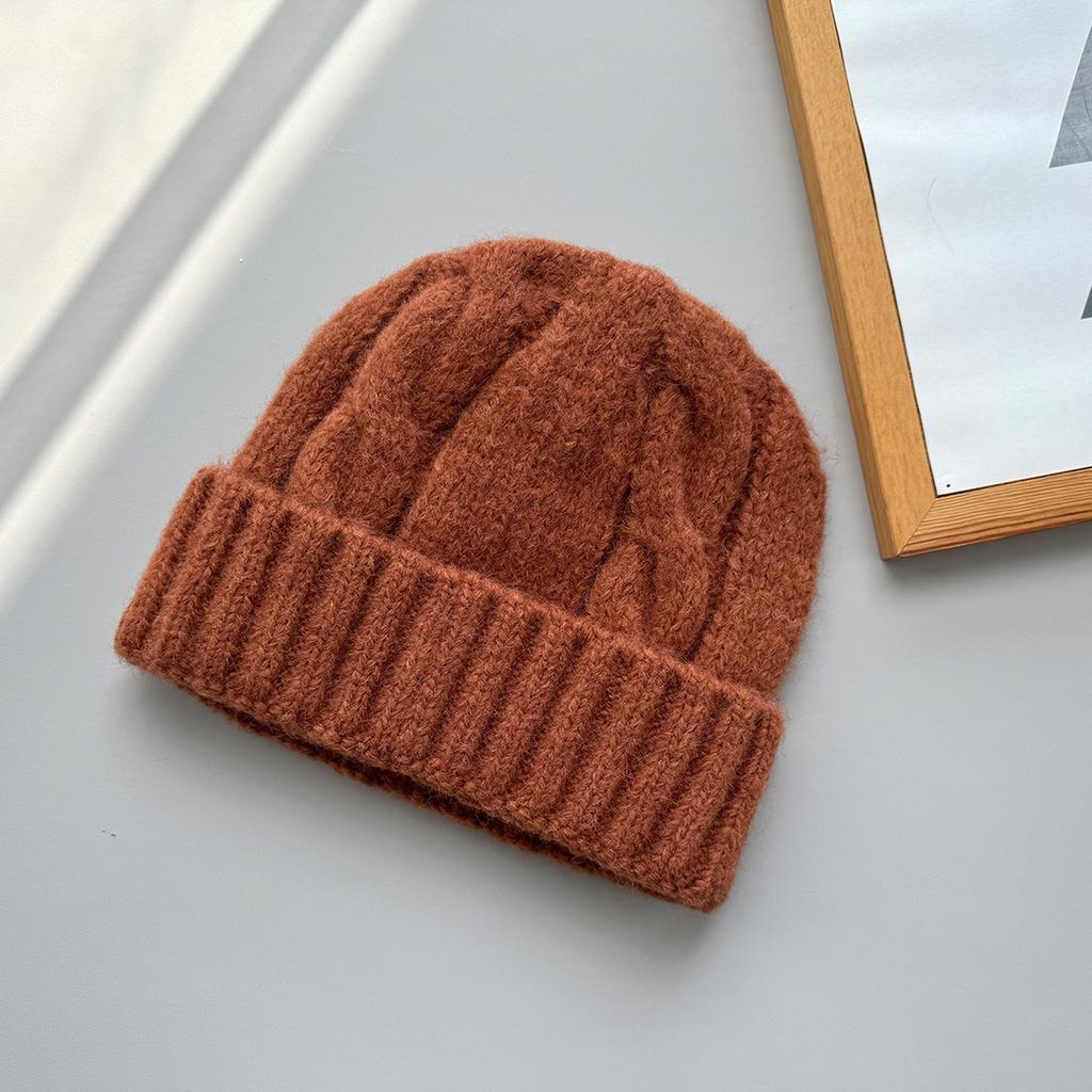 Korea autumn and winter simple coarse needle twisted warm knitted hat women's versatile ear protection wool hat