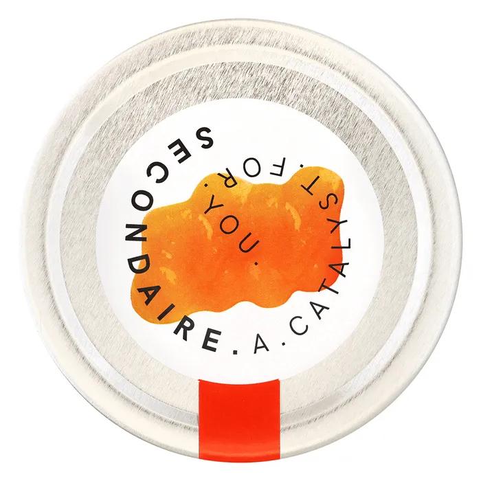 Sugar-Free Xylitol Mango Jam