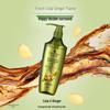 Schwarzkopf Ginger Essence Oil Control Shampoo