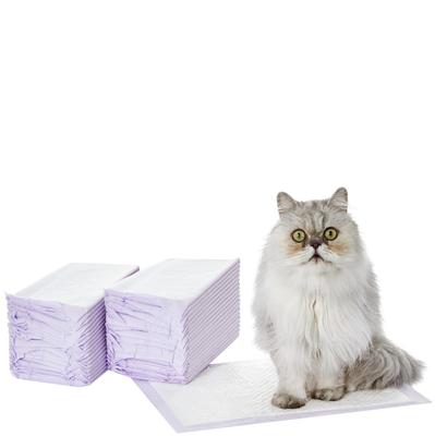 Amazon Basics Katzentoilette, 40 Blatt, Frischer Duft, Lila