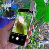 Miflame Agricultural LED Magnifying Glass
