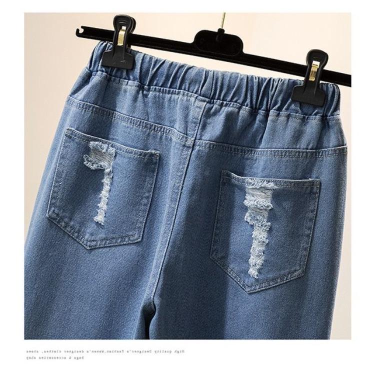 Spring and Autumn Loose Elastic Waist Jeans Women's Embroidered High Waist College Style Harun Straight Pants