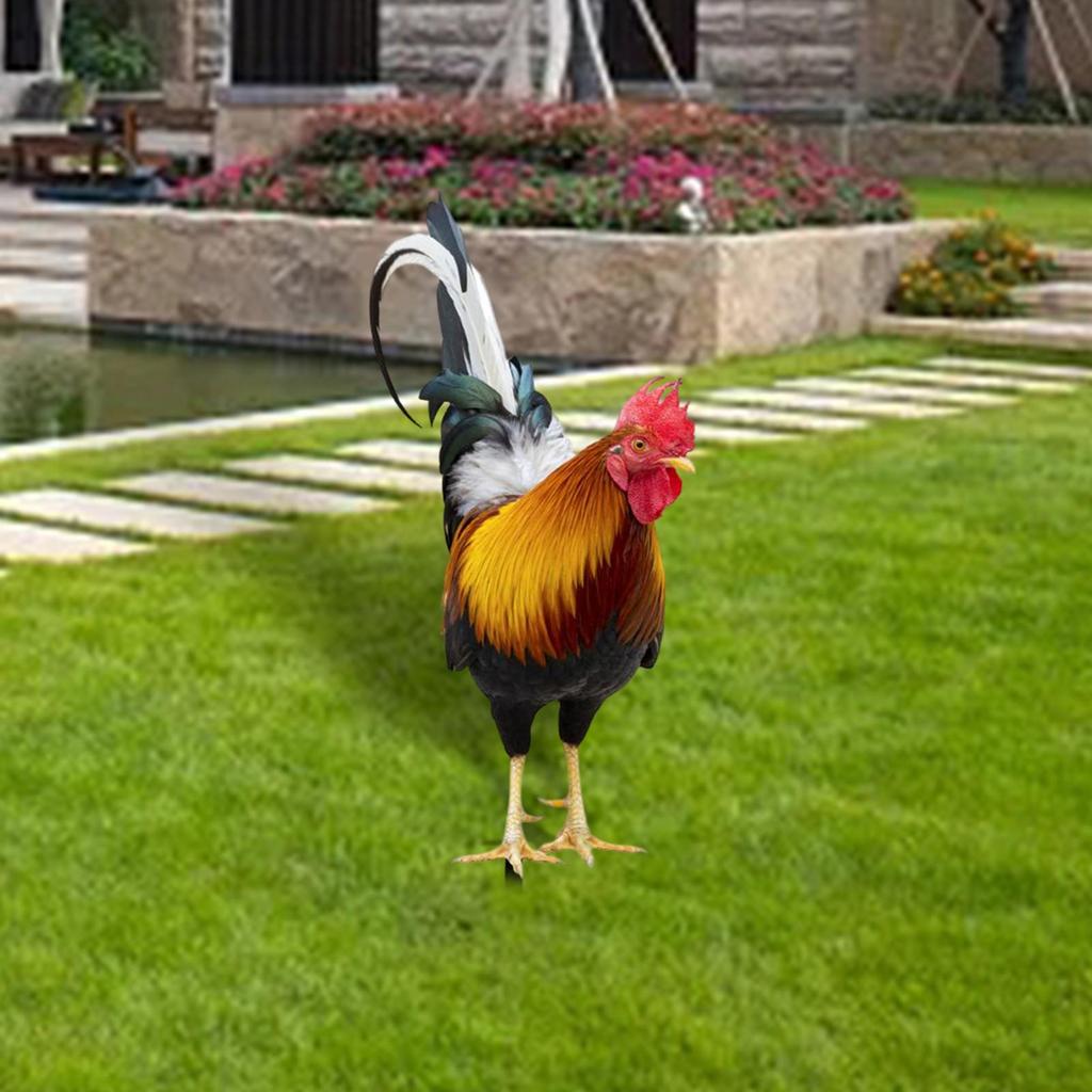 Rooster Garden Decor - Whimsical Outdoor Statue